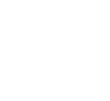 Decorative circle shape